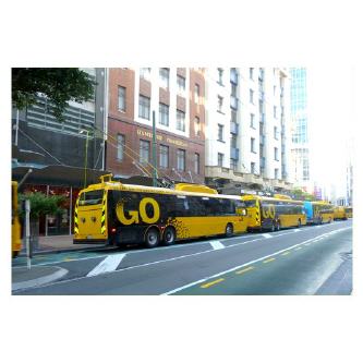 Buspass Neuseeland
